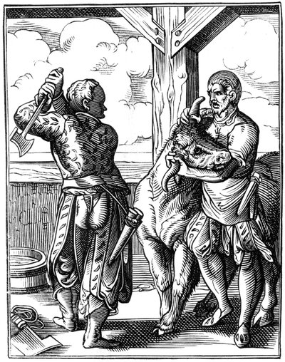 Boucher, 16e siècle 1849 - Jost Amman