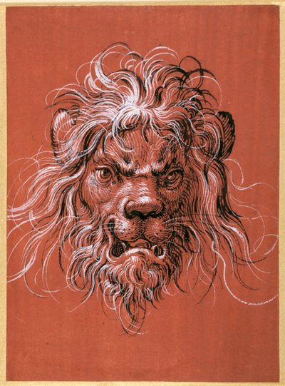 Tête de lion - Jost Amman