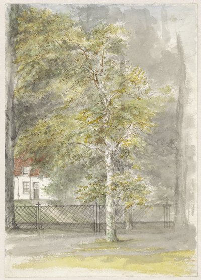 Arbre devant la grille d