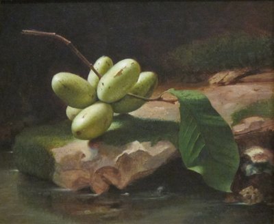 Nature morte avec Paw Paws - Jr. Edward Edmondson