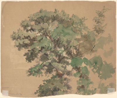 Arbre - Jr. Enoch Wood Perry