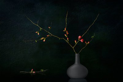 Branches sombres en fleurs - Juan Antonio Palacios