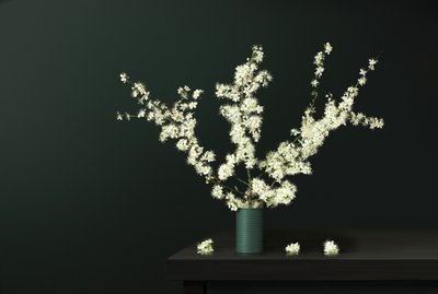 Fleurs fraîches du printemps - Juan Antonio Palacios