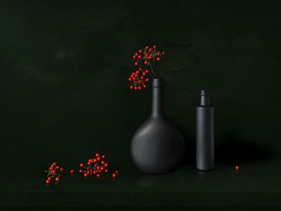 Nature morte moderne aux baies - Juan Antonio Palacios