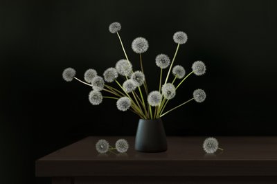 Composition florale « Pissenlit » aux tons apaisants - Juan Antonio Palacios