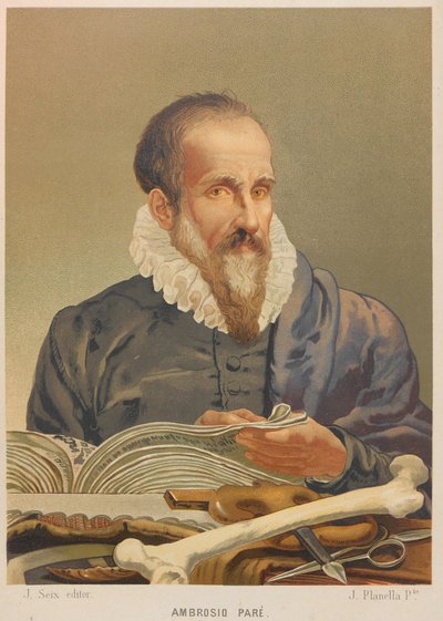 Portrait d