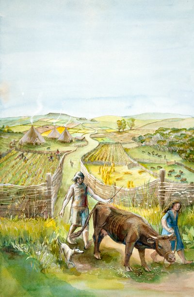Paysage Rural, 2000 av. J.-C., c. 1990-2010 - Judith Dobie