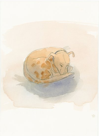 Chien endormi, 2003 - Judith Dobie