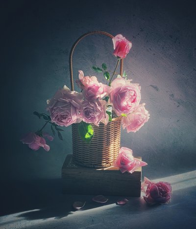 Panier de roses roses - Judy Tseng