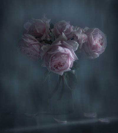 Roses roses « Moody » - Judy Tseng