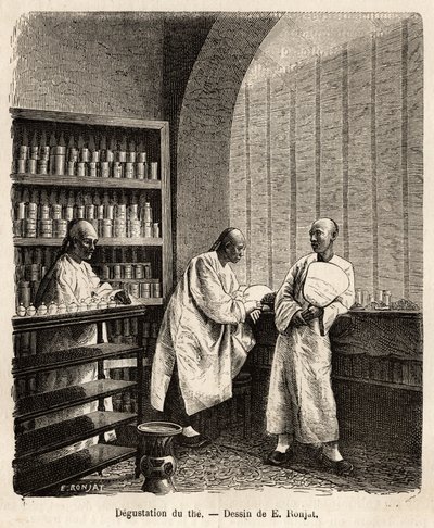 La dégustation du thé, dans la salle de dégustation d