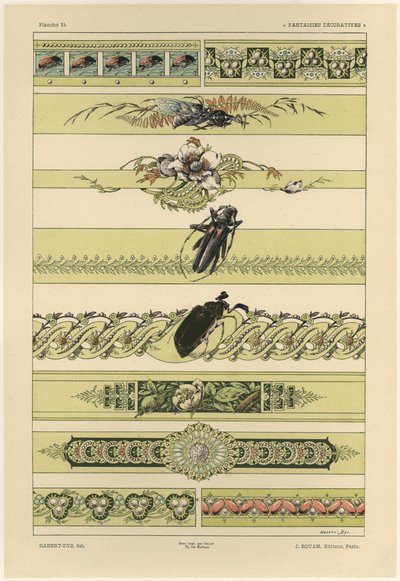 Coléoptères, planche 14 de 