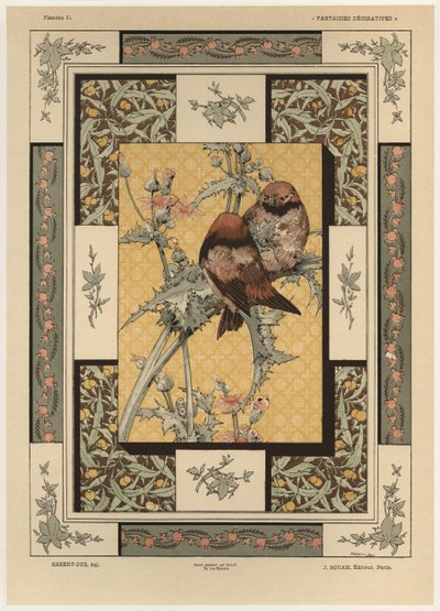 Oiseaux, planche 35 de 