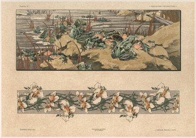 Crapauds et fleurs, planche 47 de 