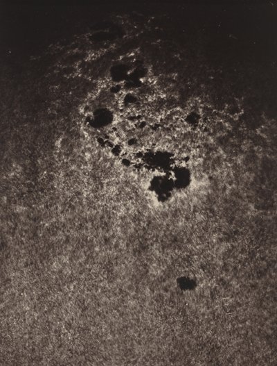 Sans titre (Étude de la surface du soleil) - Jules Cesar Janssen