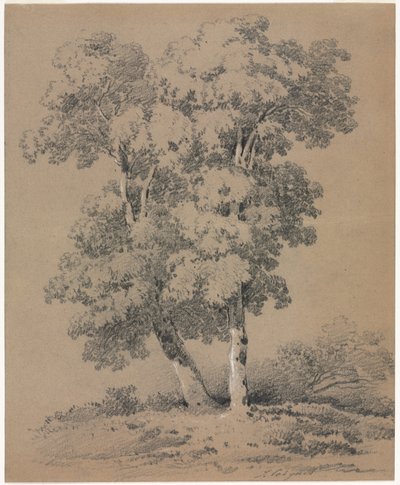 Étude d