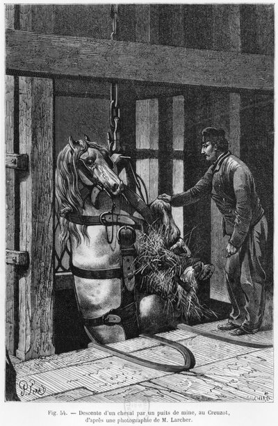 Cheval descendu dans la mine à Le Creusot, illustration de 