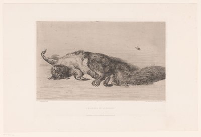 Écureuil mort et mouche (L