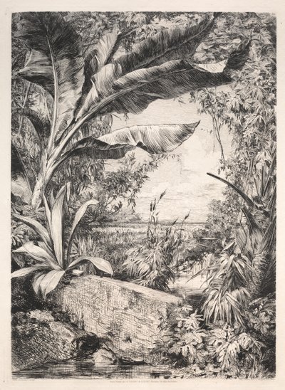 Plantes de la serre, 1872 - Jules Ferdinand Jacquemart