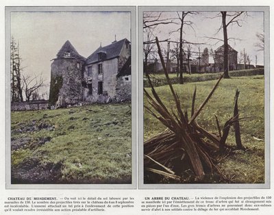 Château de Mondement, Un arbre du château - Jules Gervais Courtellemont