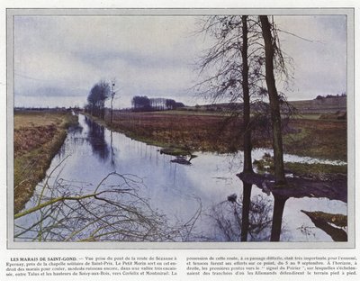 Les Marais de Saint-Gond - Jules Gervais Courtellemont