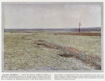 Plateau d
