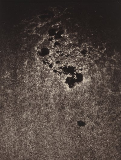 Sans titre (étude de la surface du soleil),1893 (photo) - Jules Janssen