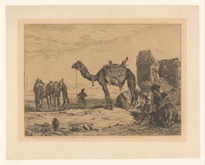 Paysage avec des chameaux près d