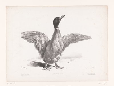 Étude d