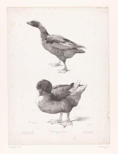 Étude d