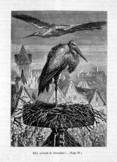 Cigognes sur un toit - dans "L