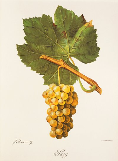 Albourla - Jules Troncy