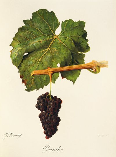 Corinthe - Jules Troncy