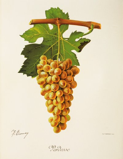 Raisin Verdesse par J. Troncy - Jules Troncy