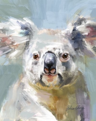 Le regard doux du koala - Julia Cheney