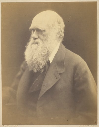 Charles Darwin - Julia Margaret Cameron