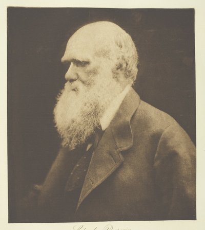 Charles Darwin - Julia Margaret Cameron