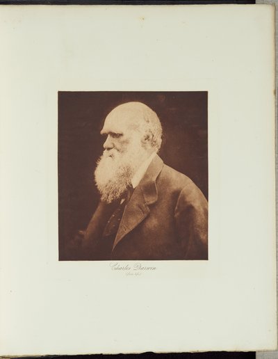  - Julia Margaret Cameron