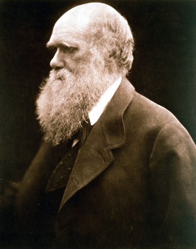 Charles Darwin, naturaliste britannique, vers 1870s - Julia Margaret Cameron
