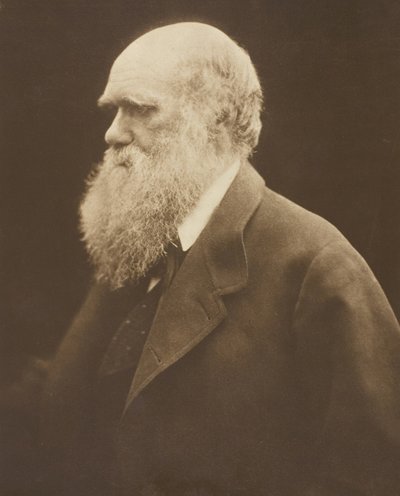 Charles Darwin, vers 1868, imprimé en 1875 - Julia Margaret Cameron