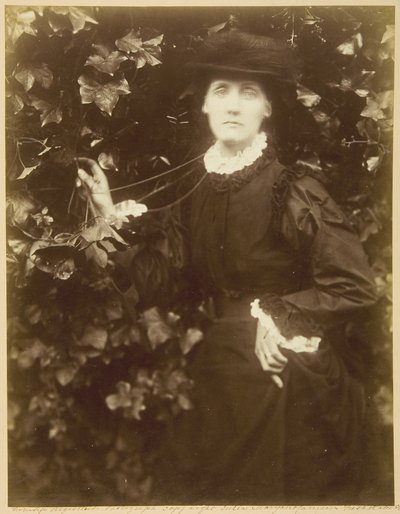 Mme Herbert Duckworth ("She Walks in Beauty") - Julia Margaret Cameron