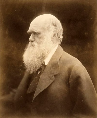 Portrait de Charles Darwin - Julia Margaret Cameron