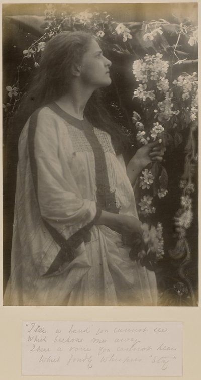 [Printemps] - Julia Margaret Cameron