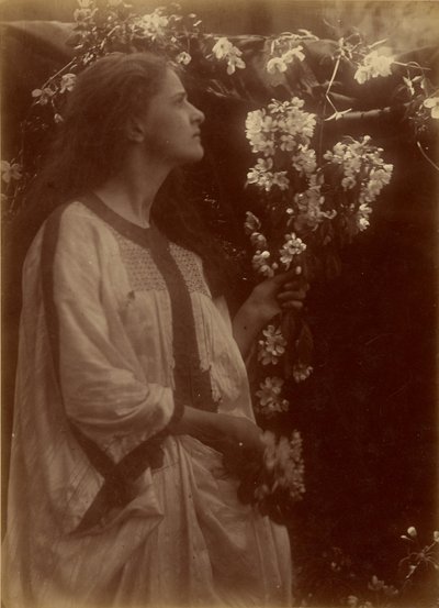 [Printemps] - Julia Margaret Cameron