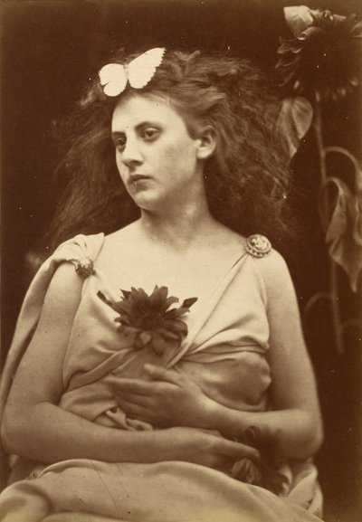 Le tournesol - Julia Margaret Cameron