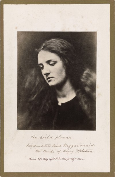 La Fleur Sauvage - Julia Margaret Cameron