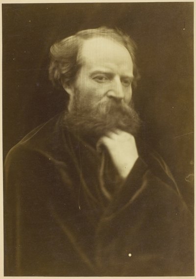 Sitter inconnu - Julia Margaret Cameron