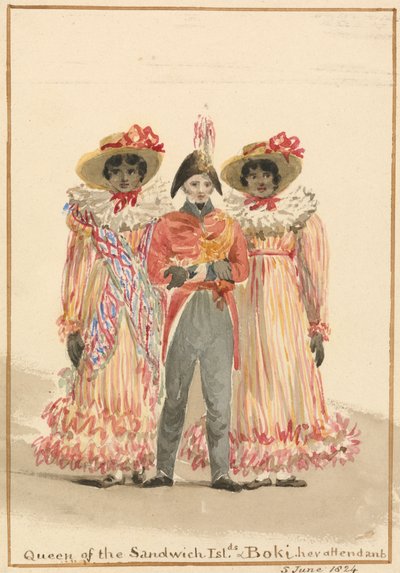 Un groupe des îles Sandwich - Julia Swinburne