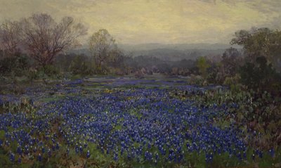 Sans titre - Champ de Bluebonnets - Julian Onderdonk