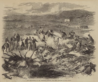 Le champ de bataille de la Tchernaïa, enterrant les morts - Julian Portch
